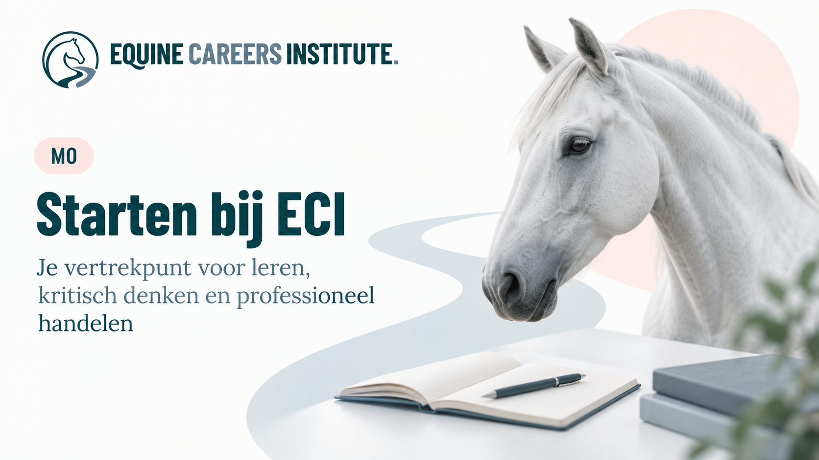 Starten bij het Equine Careers Institute